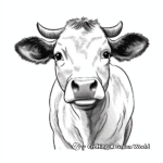 Belted Galloway Cow Face Coloring Pages 1