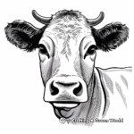 Belted Galloway Cow Face Coloring Pages 2