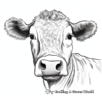Belted Galloway Cow Face Coloring Pages 3