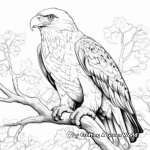 Bird-Watcher's Paradise: Eagle Coloring Pages 1