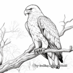 Bird-Watcher's Paradise: Eagle Coloring Pages 3