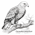 Bird-Watcher's Paradise: Eagle Coloring Pages 4