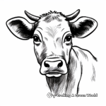 Black and White Cow Face Coloring Sheets 1