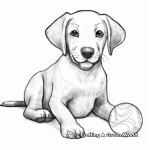 Black Lab with Dog Toys Coloring Pages 1
