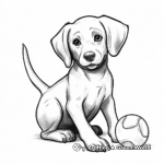 Black Lab with Dog Toys Coloring Pages 3