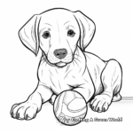 Black Lab with Dog Toys Coloring Pages 4