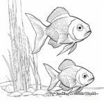 Bluegill Fish Family Coloring Pages: Male, Female, and Fry 1