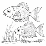 Bluegill Fish Family Coloring Pages: Male, Female, and Fry 2
