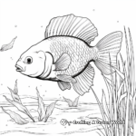 Bluegill in Natural Habitat Coloring Pages 2