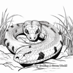 Boa Constrictor Hunting Prey Coloring Pages 4