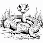 Boa Constrictor in the Wild Coloring Pages 1