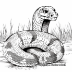 Boa Constrictor in the Wild Coloring Pages 2