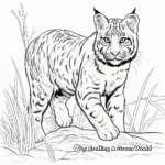 Bobcat in Wilderness Wildcat Coloring Pages 2
