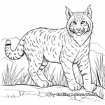 Bobcat in Wilderness Wildcat Coloring Pages 3