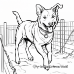 Border Collie Agility Course Coloring Pages 1