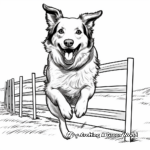 Border Collie Agility Course Coloring Pages 3