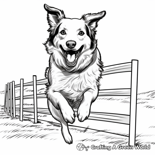 Border Collie Coloring Pages - Free &amp; Printable!