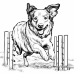 Border Collie Agility Course Coloring Pages 4