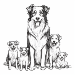 Border Collie Family Coloring Pages: Male, Female, and Puppies 1