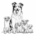 Border Collie Family Coloring Pages: Male, Female, and Puppies 2