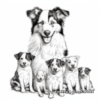 Border Collie Family Coloring Pages: Male, Female, and Puppies 3