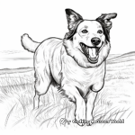 Border Collie in Different Weather Conditions Coloring Pages 2