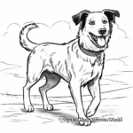 Border Collie in Different Weather Conditions Coloring Pages 4