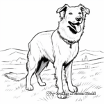 Border Collie in the Snow Coloring Pages 1