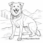 Border Collie in the Snow Coloring Pages 3