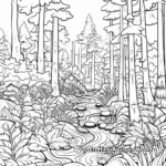 Boreal Forest Biome Coloring Sheets 1