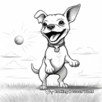 Boston Terrier Doing Tricks Coloring Pages 2