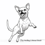 Boston Terrier Doing Tricks Coloring Pages 4