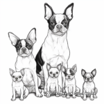 Boston Terrier Family Coloring Pages: Parents and Puppies 1