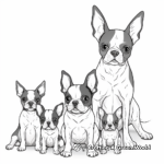 Boston Terrier Family Coloring Pages: Parents and Puppies 2