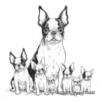 Boston Terrier Family Coloring Pages: Parents and Puppies 3