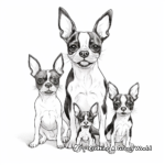 Boston Terrier Family Coloring Pages: Parents and Puppies 4