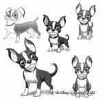 Boston Terrier In Different Poses Coloring Pages 1