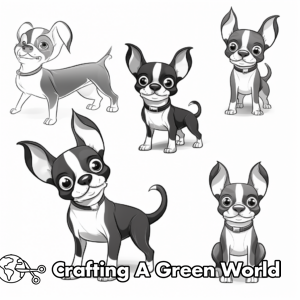 Boston Terrier Coloring Pages - Free &amp; Printable!