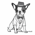 Boston Terrier In Fancy Outfits Coloring Pages 2
