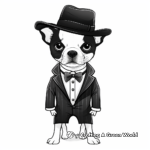 Boston Terrier In Fancy Outfits Coloring Pages 4