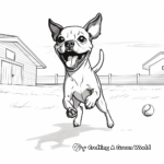 Boston Terrier Playing Fetch Coloring Sheets 1