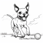 Boston Terrier Playing Fetch Coloring Sheets 3
