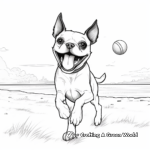 Boston Terrier Playing Fetch Coloring Sheets 4