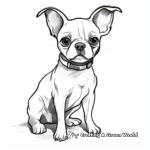 Boston Terrier With Toys Coloring Pages 2
