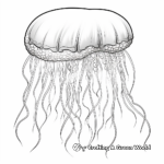 Breathtaking Pacific Sea Nettle Jellyfish Coloring Page 2