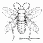 Bright and Colorful Cicadas Coloring Pages 1