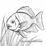 Brightly Colored Bluegill Fish Coloring Pages 3