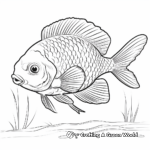 Brightly Colored Bluegill Fish Coloring Pages 4