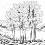 Brilliant Fall Aspens Coloring Pages 2