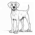 Brindle Great Dane Coloring Pages 1